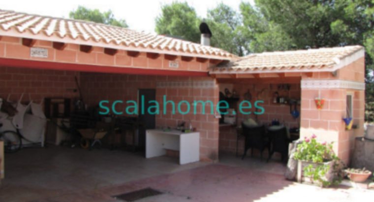 FINCA EN SAX
