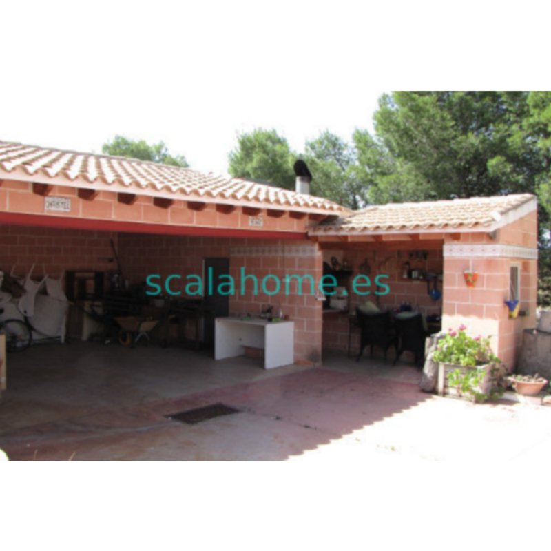 FINCA EN SAX