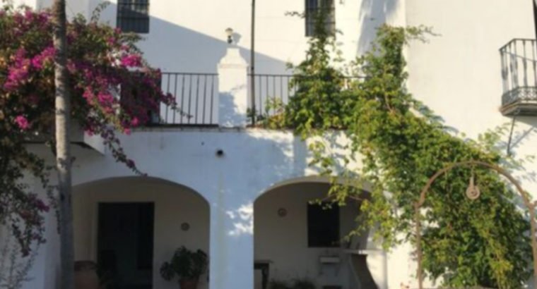 GRAN CASA RURAL CON PARCELA DE 1000 M