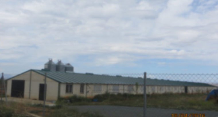 SE VENDE FINCA-GRANJA ZONA GUADIX