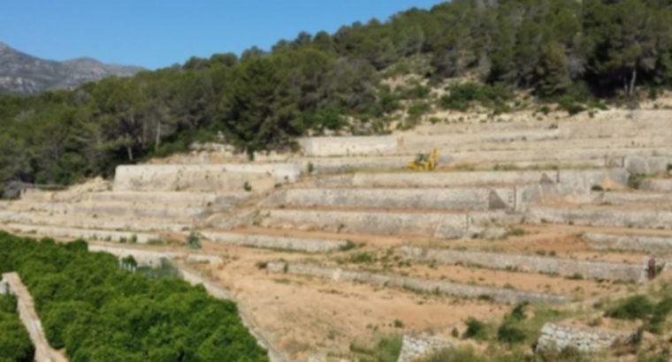 FINCA EN XERESA