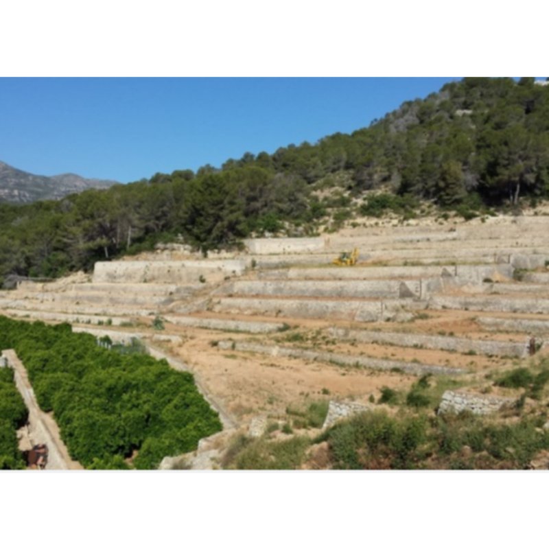 FINCA EN XERESA