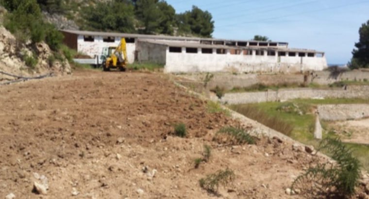 FINCA EN XERESA