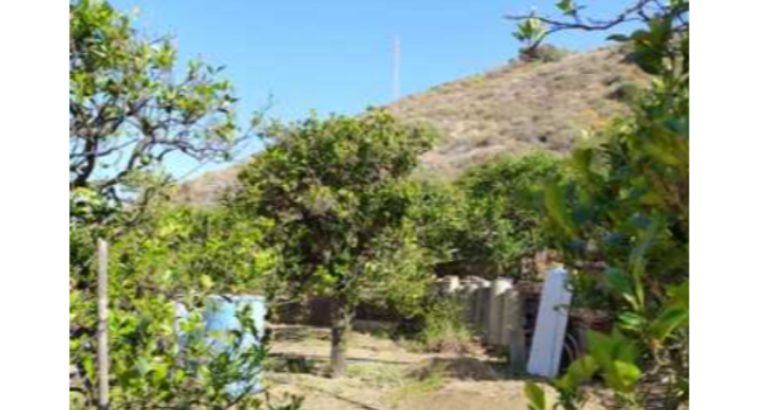 SE VENDE FINCA CON AGUA TELDE