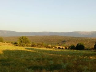 Emprendedor Rural en Segovia