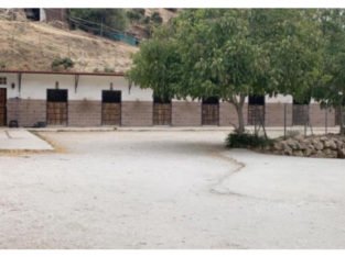 FINCA IDEAL PARA EL MUNDO DEL CABALLO