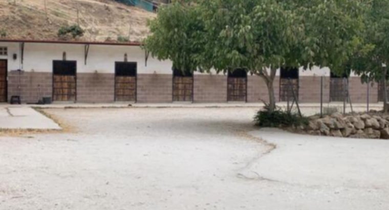 FINCA IDEAL PARA EL MUNDO DEL CABALLO