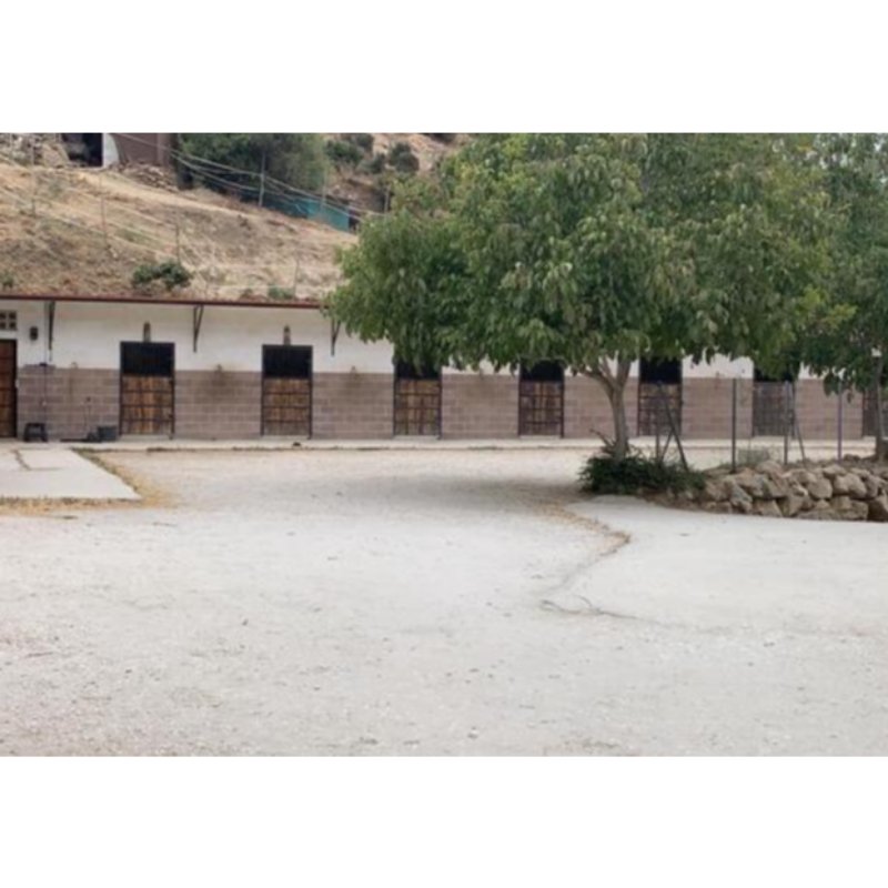 FINCA IDEAL PARA EL MUNDO DEL CABALLO
