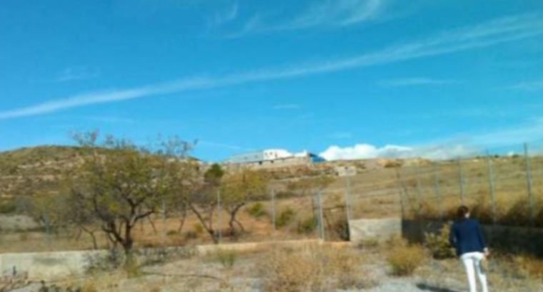 FINCA EN LA CANTINILLA MORANTE, LAUJAR DE ANDARAX