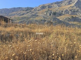 GRAN FINCA EN ALFARNATE Y PERIANA