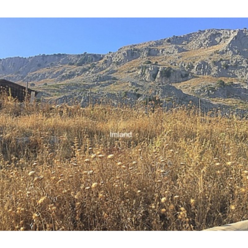 GRAN FINCA EN ALFARNATE Y PERIANA