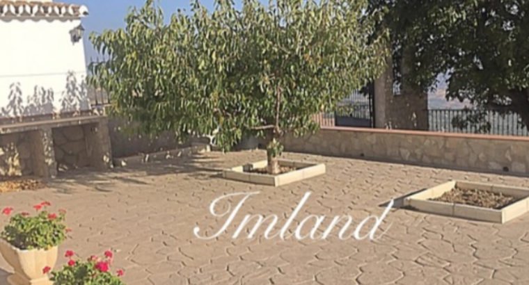 GRAN FINCA EN ALFARNATE Y PERIANA