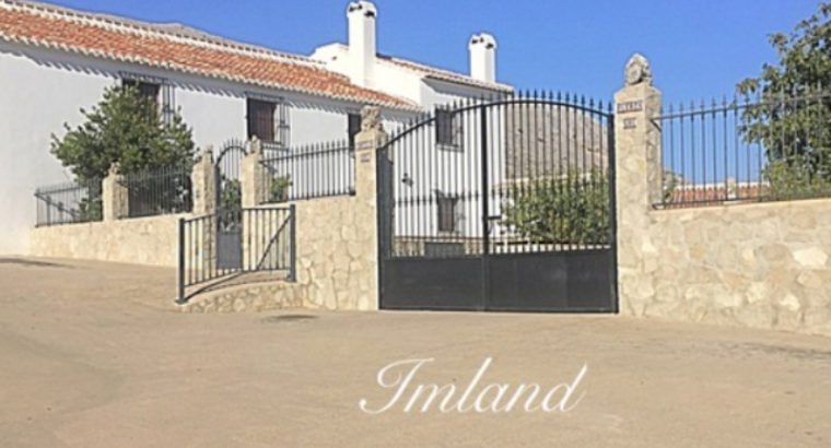 GRAN FINCA EN ALFARNATE Y PERIANA