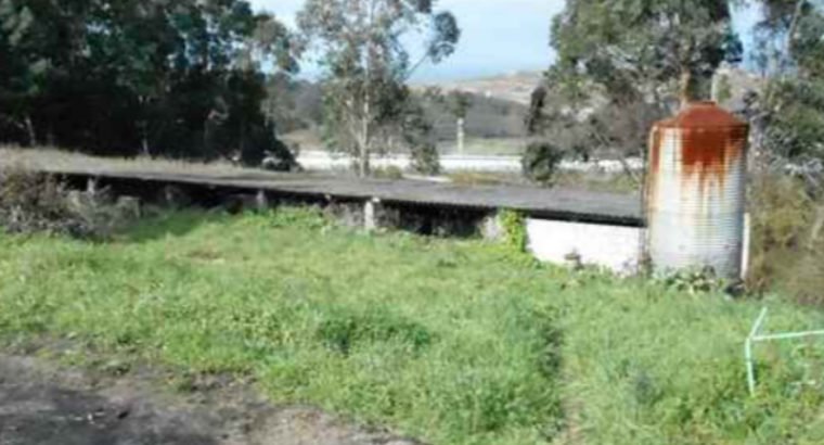 FINCA 16. 700M2 LUGAR DE SUEVOS