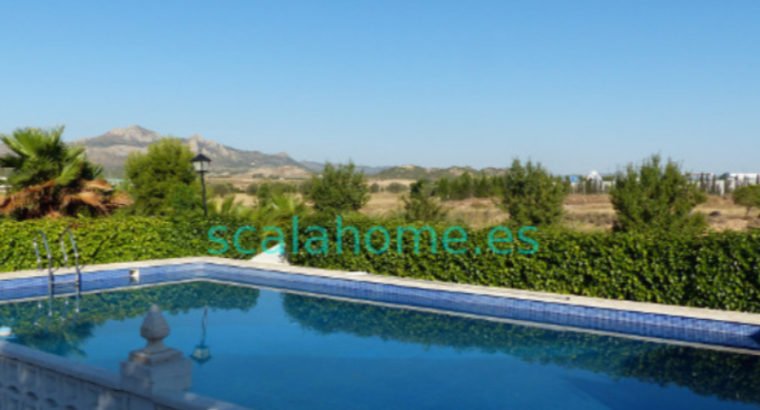 FINCA EN SAX