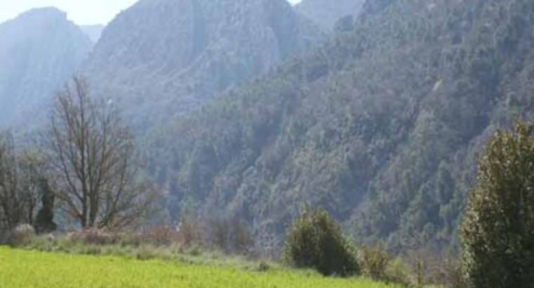 FINCA DE RECREO Y TURISMO RURAL