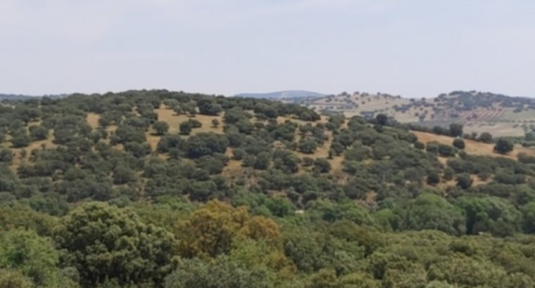 CASA EN SANTA ELENA