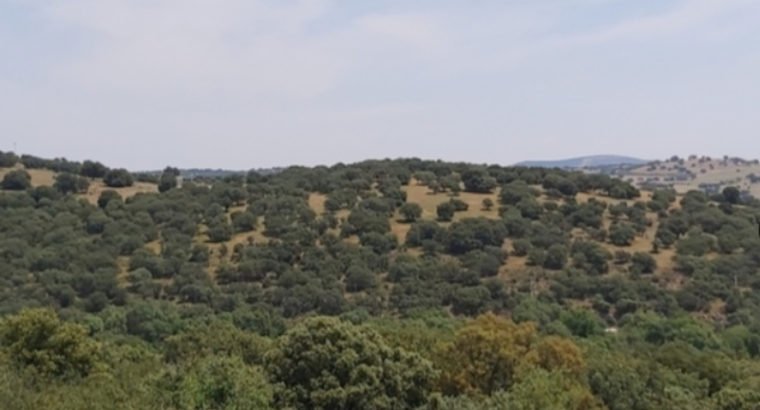 CASA EN SANTA ELENA