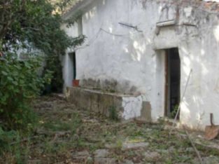 CORTIJO GRANDE, MUCHAS POSIBILIDADES