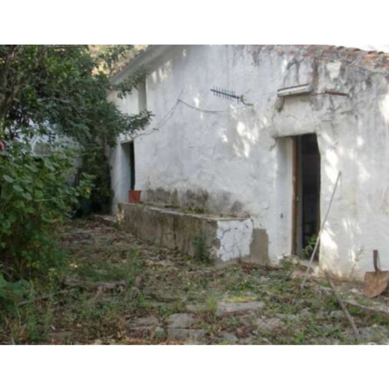 CORTIJO GRANDE, MUCHAS POSIBILIDADES
