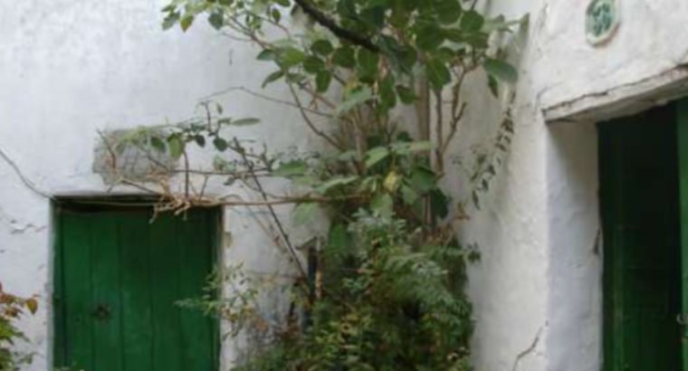 CORTIJO GRANDE, MUCHAS POSIBILIDADES