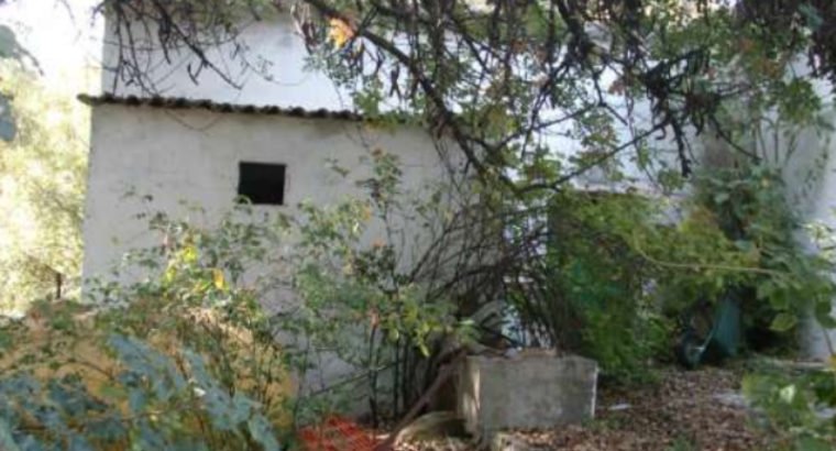 CORTIJO GRANDE, MUCHAS POSIBILIDADES