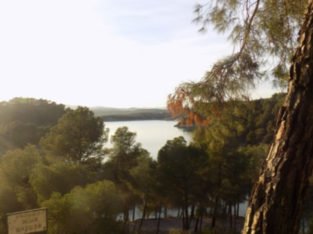 ESPECTACULAR FINCA PEGADA PANTANO AGUJER
