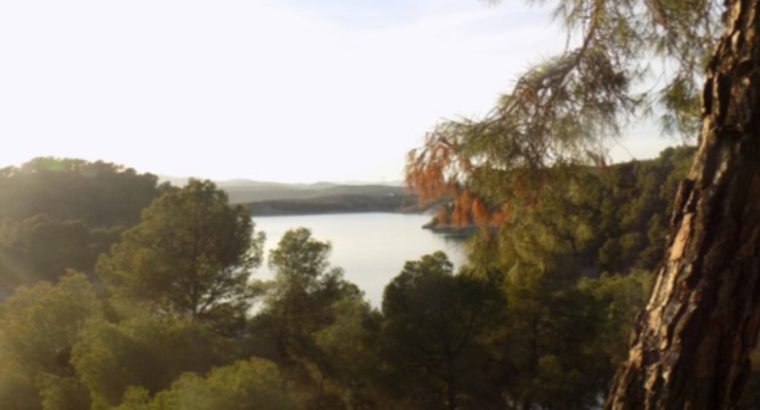 ESPECTACULAR FINCA PEGADA PANTANO AGUJER