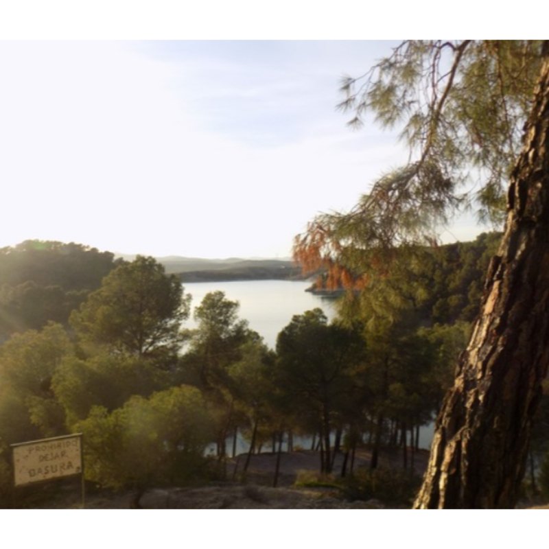 ESPECTACULAR FINCA PEGADA PANTANO AGUJER