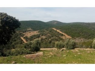 VIVIENDA RURAL EN SIERRA MORENA