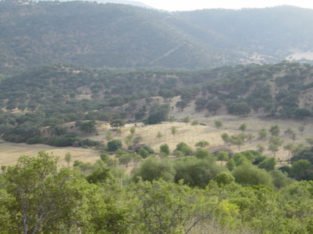 CORTIJO EL TÍTULO