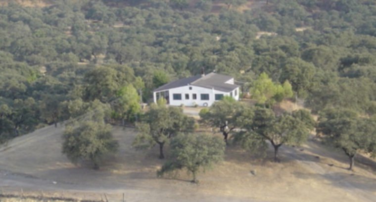 CORTIJO EL TÍTULO