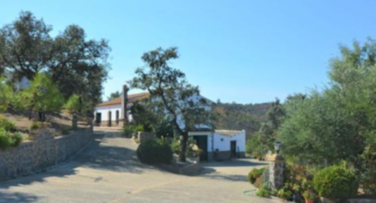 CASA RURAL EN MADROÑO (EL)