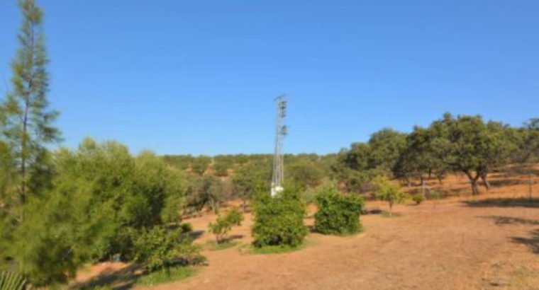 CASA RURAL EN MADROÑO (EL)