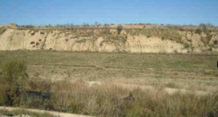 PARCELA PARA CORTIJO, OCIO, PLANTACIONES