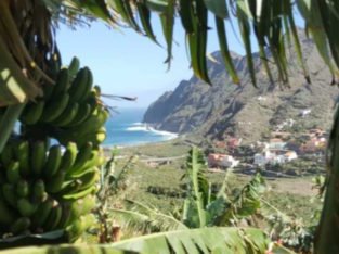 VENTA CASA + FINCA LA GOMERA