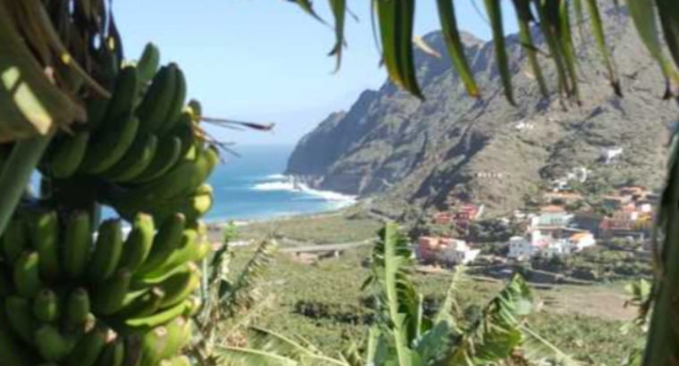 VENTA CASA + FINCA LA GOMERA