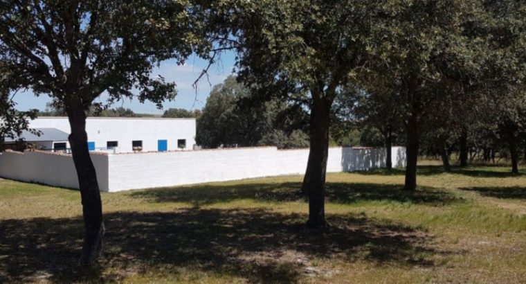 Se vende preciosa dehesa de encinas con golf