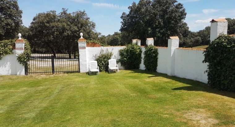 Se vende preciosa dehesa de encinas con golf