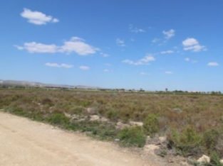 SE VENDE FINCA DE CULTIVO