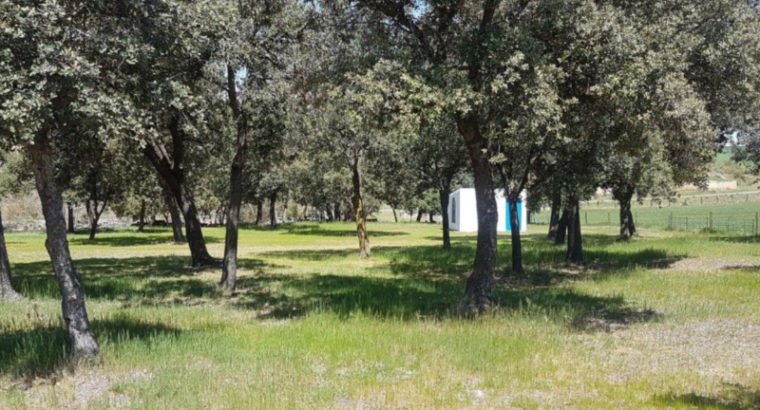 Se vende preciosa dehesa de encinas con golf