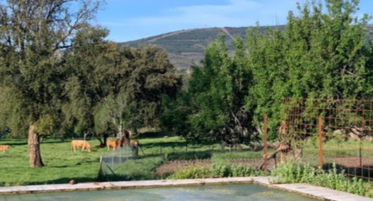 SE VENDE FINCA EXTREMADURA VALENCIA DE ALCANTARA