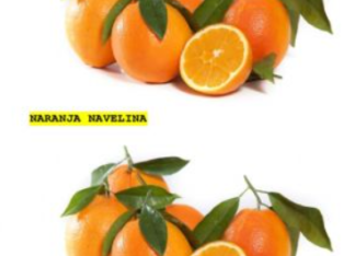 Se vende naranja c. valenciana al pormayor