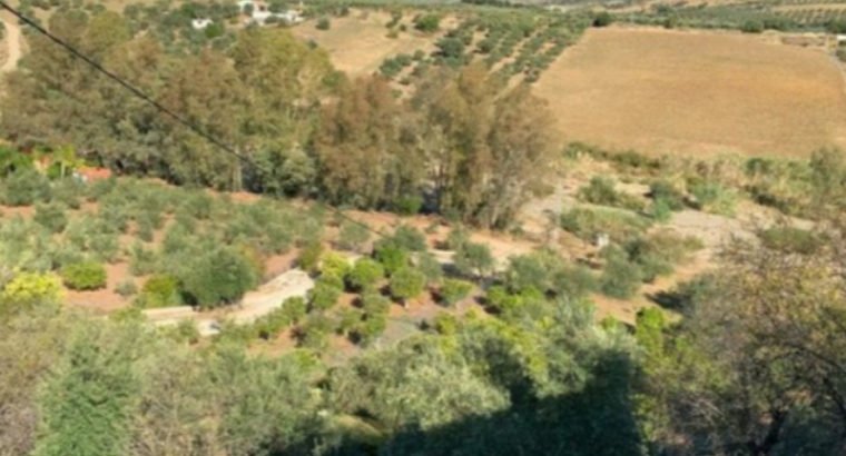 SE VENDE FINCA EN GUARO