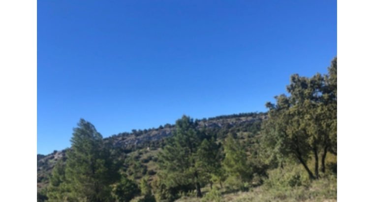 SE VENDE FINCA PEÑAS DE SAN PEDRO