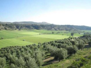 FINCA EN VENTA EN JAEN