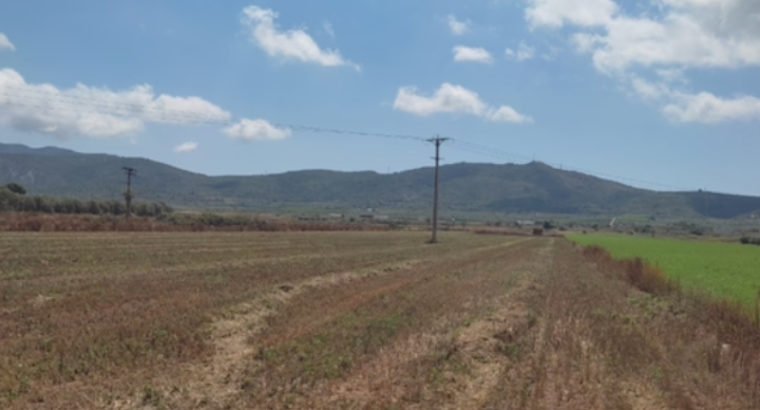 FINCA DE 21000M2 REGADIO