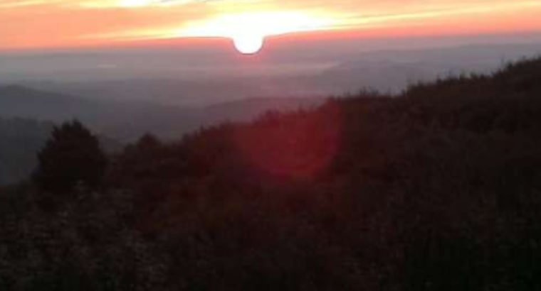 FINCA EN LA VERA