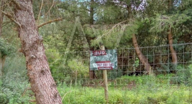 Terreno en venta en Azambuja