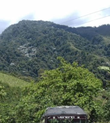 Se vende finca cafetera en risaralda colombia